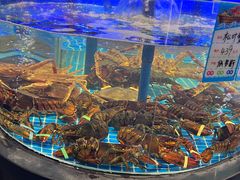 -望海臻鲜·海鲜餐厅