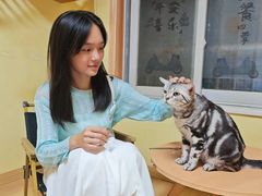 -Meowの猫咖(万家丽店)