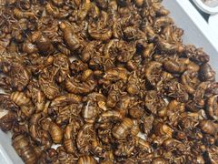 -映像威海·海鲜味道(经区店)