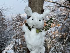 -敬亭山风景名胜区