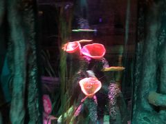 -沈阳海洋探索中心