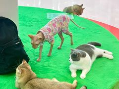 -福田卓悦INTOWN购物中心