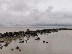 -南汇嘴观海公园