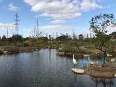 -上海长兴岛郊野公园