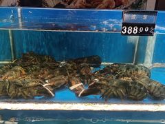 -万荣烤鸭店·北京菜(天坛店)