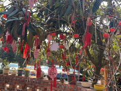 -小洞天柴火土菜馆