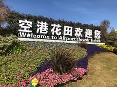 -空港花田景区