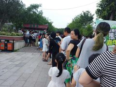 -东南花都花博园