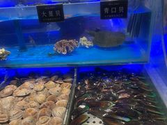 -SEA西雅图海鲜自助餐厅(海乐世界店)