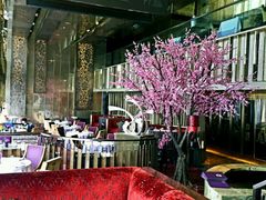 -金轩中餐厅 Jin Xuan(浦东丽思卡尔顿酒店)