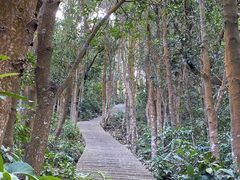 -梧桐山风景名胜区
