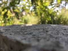 -暨阳湖生态园