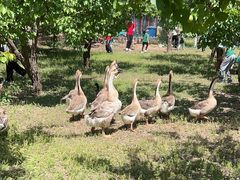 -北京市邮政管理局海慧寺幼儿园