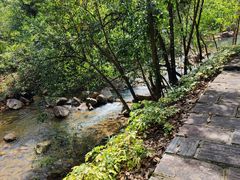 -广州白江湖森林公园