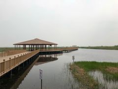 -白洋淀景区