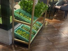 -57度湘(王府井10F店)