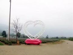 -曲江薰衣草庄园