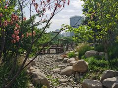 -莲花池公园