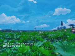 -光明小镇欢乐田园