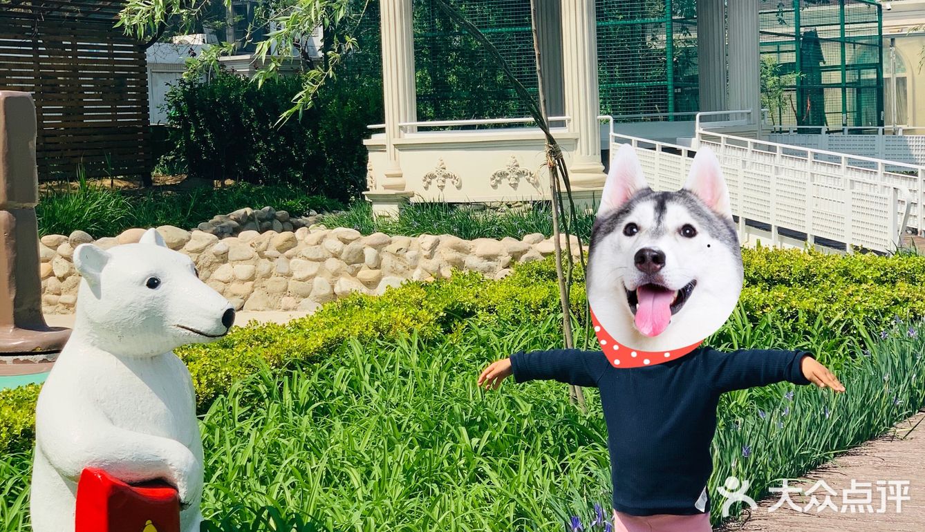 抓住春天的小尾巴拔草北冰洋主题乐园