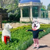 抓住春天的小尾巴拔草北冰洋主题乐园