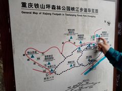 -铁山坪森林公园