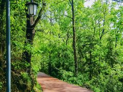 -敬亭山风景名胜区