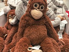 -宜家家居(高新商场店)