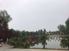 -神州牡丹园