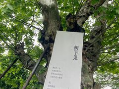 -鸣鹤古镇