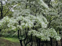 -国家植物园南园