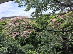-西双版纳洲际度假酒店-曼霖轩中餐厅