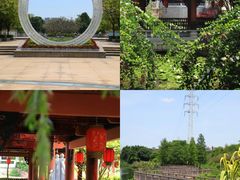 -广东花都湖国家湿地公园