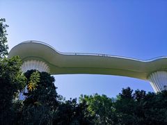-飞凤山奥体公园