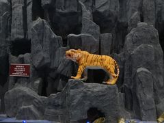 -兴芮温泉度假区