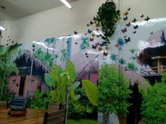 -金勺子原汤椰子鸡