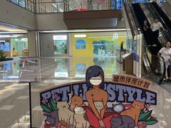 -申普宠物医院·心脏介入·心血管微创(总院)