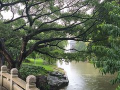 -江心屿景区