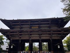 -奈良公园