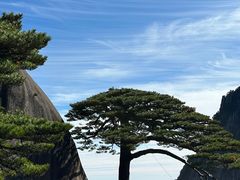 -黄山风景区