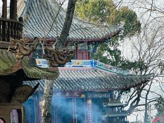 -子昂故里文化旅游区