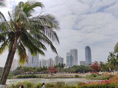 -万绿园
