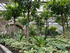-南宫五洲植物乐园