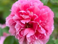 -江南大学(蠡湖校区)