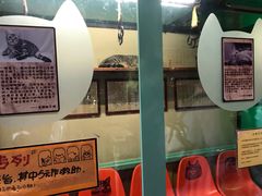 -猫咪博物馆(顶澳仔猫街店)