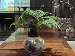 -天荷菜根·闽南素食自助(刺桐北路店)