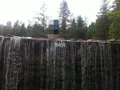 -汤旺河林海奇石景区