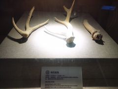-南越王博物院(王宫展区)