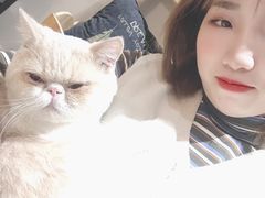 -万小咖.猫咖(中山路天虹店)