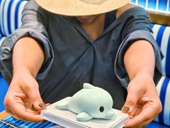 -贝林大翅鲸简餐厅(国家海洋博物馆店)